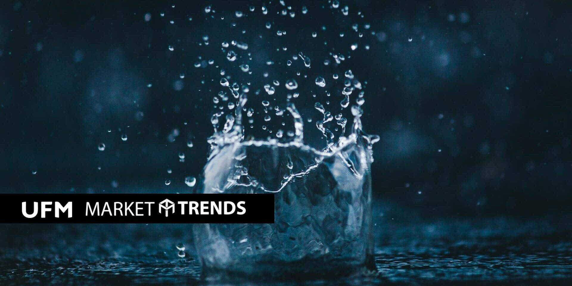 amadej-tauses-xwotojs1eg4-unsplash