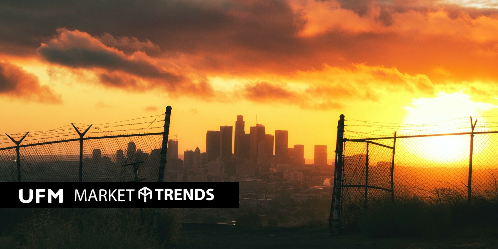 cameron-venti-duro1wzdd9a-unsplash